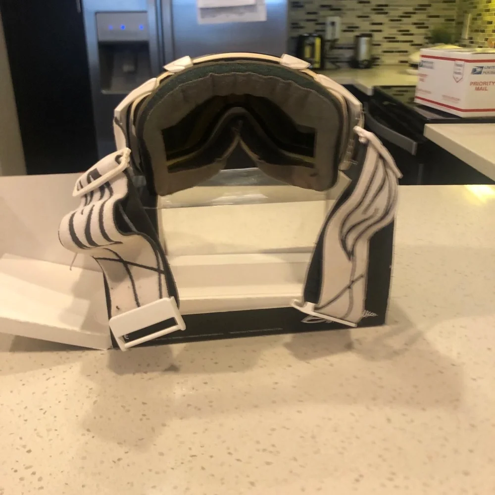 SMITH OPTICS I/O goggles